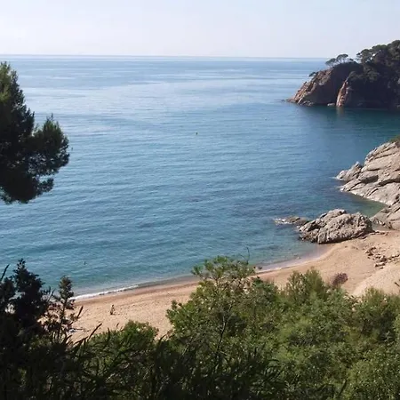 Kerstin Bruns-liebre 1 Appartement Tossa de Mar