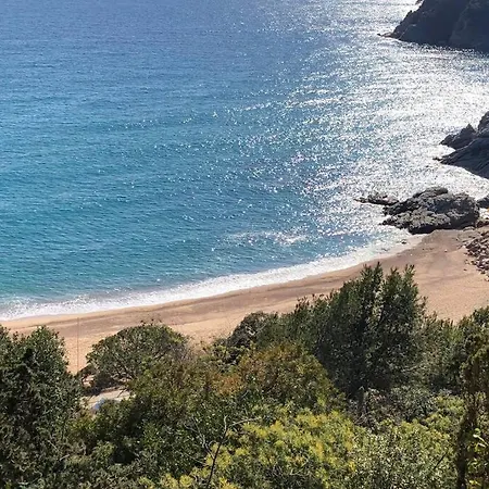 Kerstin Bruns-liebre 1 * Tossa de Mar